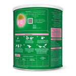 LEITE NESTOGENO 2 400G
