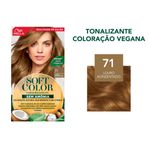TINTURA SOFT COLOR 71 LOURO ACINZENTADO