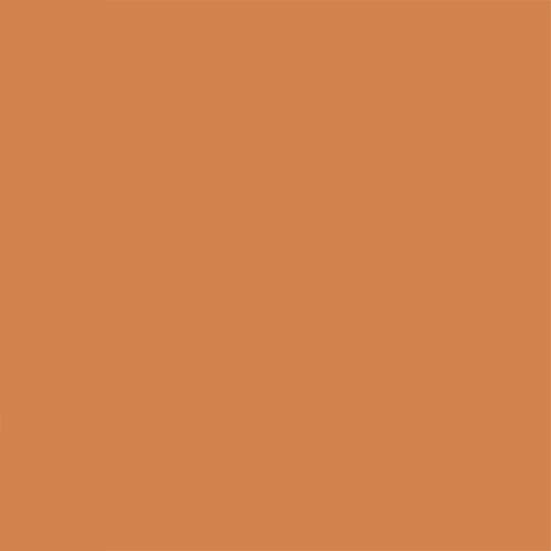 EPISOL COLOR PROTETOR SOLAR EFEITO BASE PELE MORENA FPS70 40