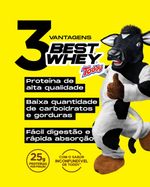 BEST WHEY ATLHETICA PROTEIN ACHOCOLATADO TODDY 450G