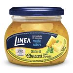 GELEIA DE ABACAXI COM HORTELA LINEA 230G